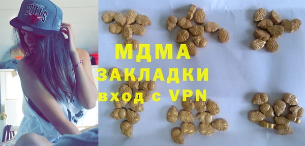 мдпв Каменка