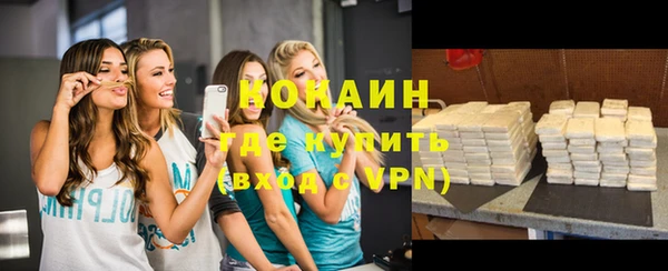 мдпв Каменка