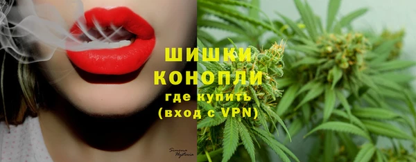 мдпв Каменка
