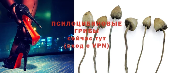мдпв Каменка