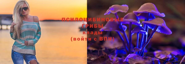 таблы Каменногорск