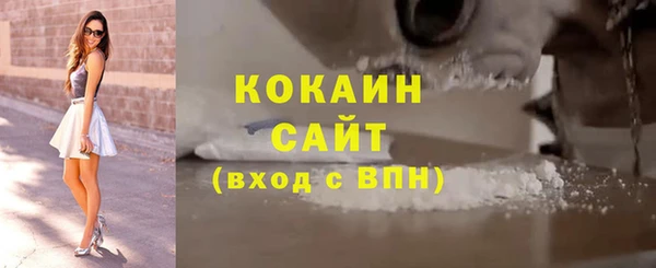 мдпв Каменка