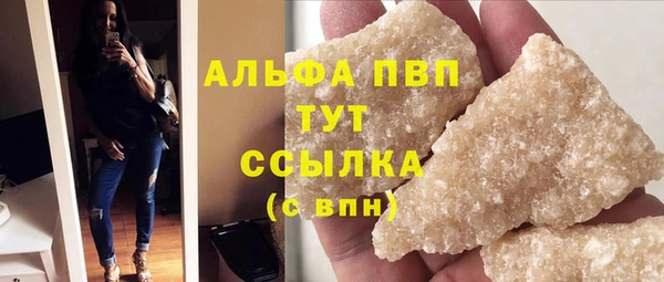 мдпв Каменка