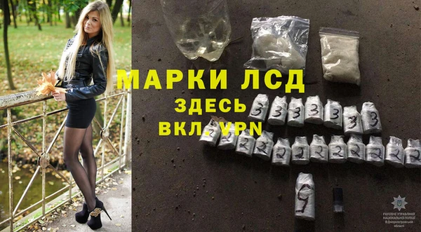 мдпв Каменка